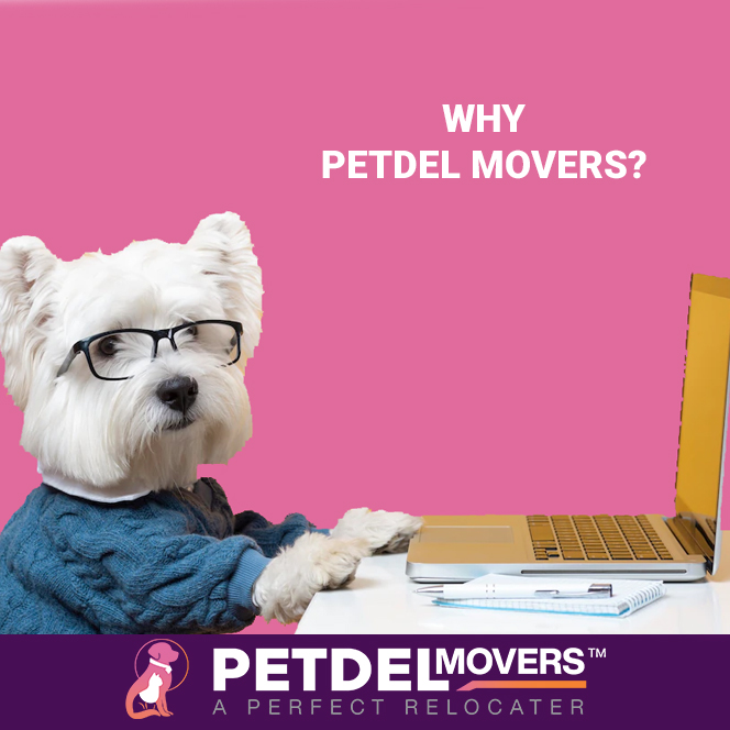 why-petdel-movers