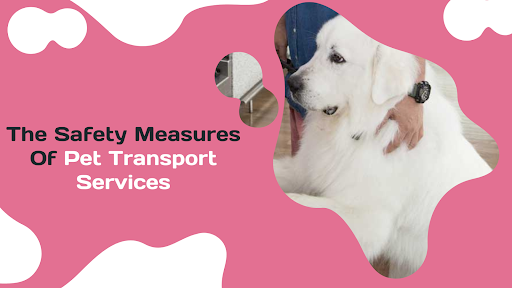 The Safety Measures Of Pet Transport Services - Petdel Movers
